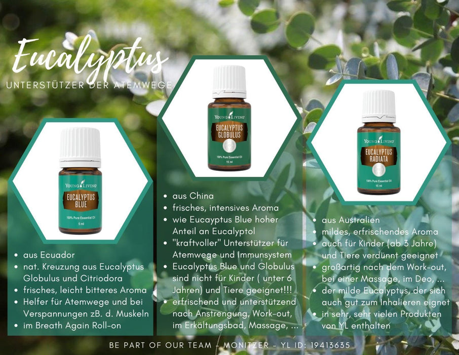 Eucalyptus globulus 15ml